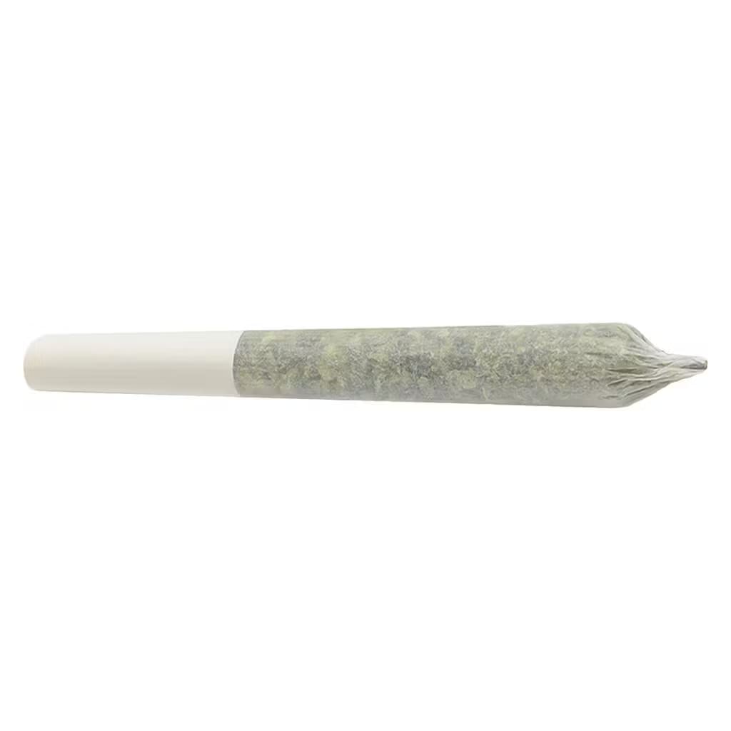 Tam Tams Cherry Bloom Pre-Roll
