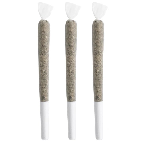 Freedom The Drifter Pre-Roll