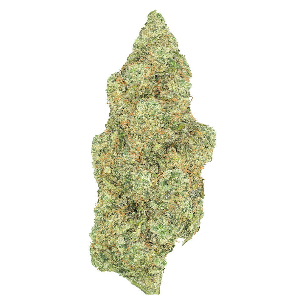 Greybeard Critical Diesel