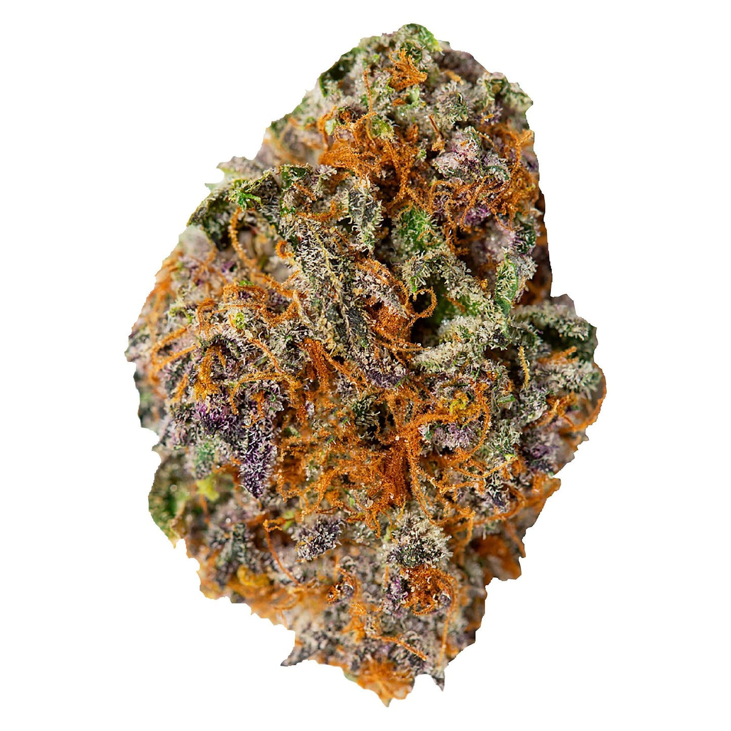 Palmetto Galactic Gas