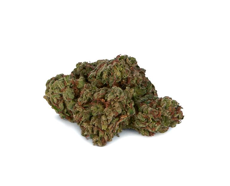 Twd. Indica