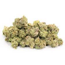 Popcorn Indica