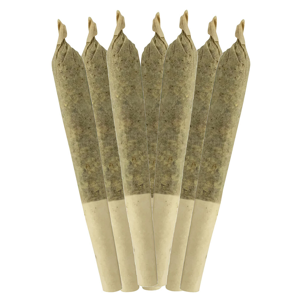 Sheeesh! Dia De Los Muertos Pre-Roll