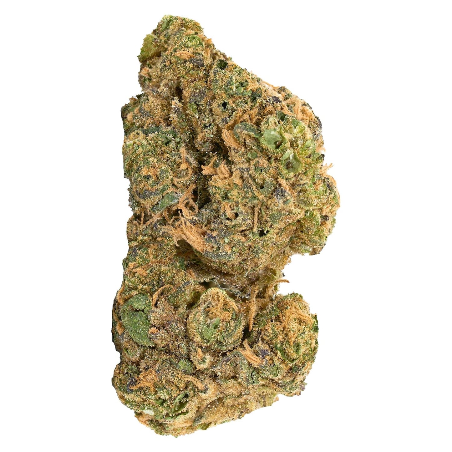 Redecan Purple Churro