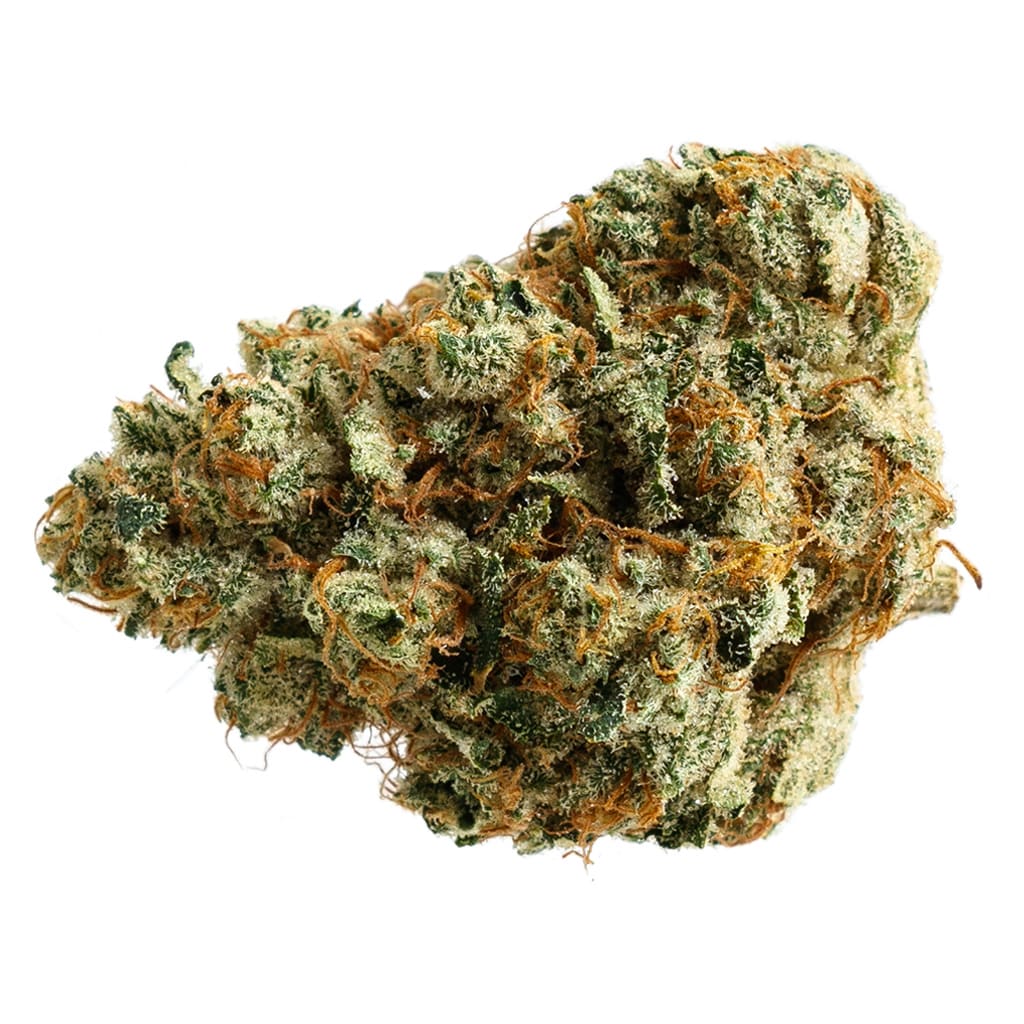 Sunfarms Ginger Dawg