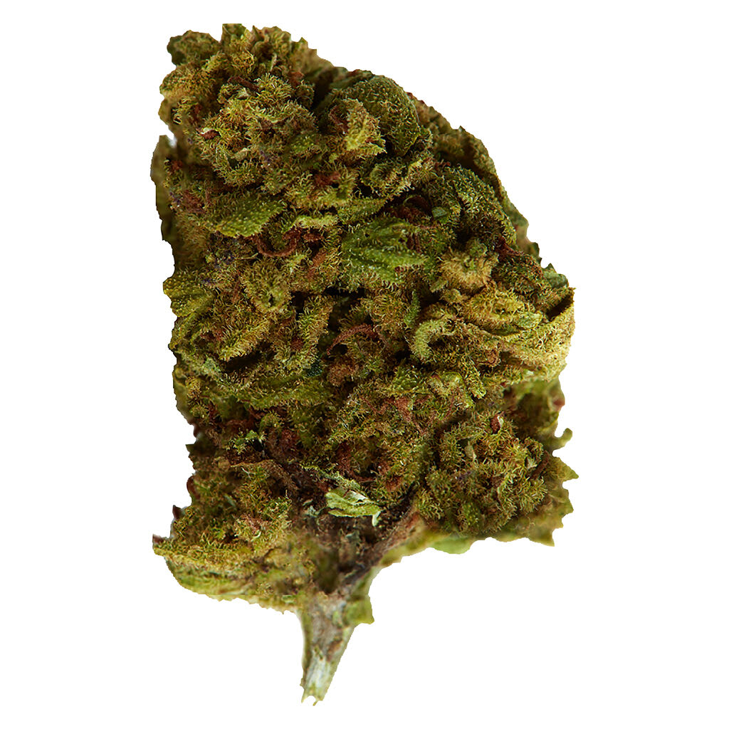 Versus Bubba Kush