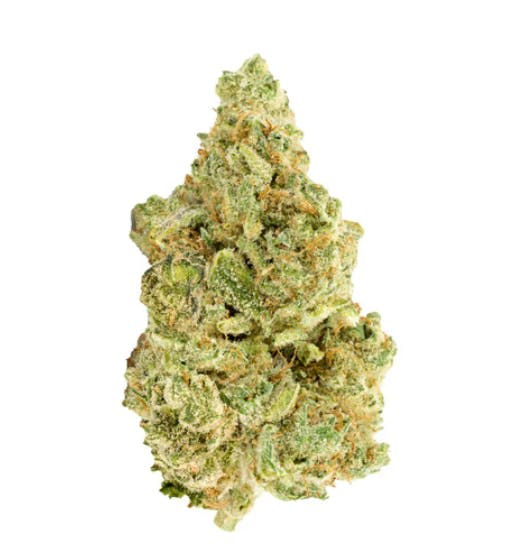 Versus White Widow