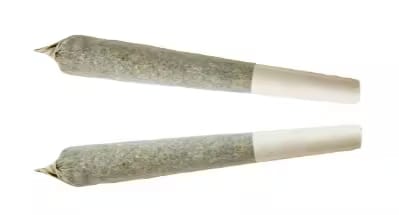Canadian Sativa Eh! Pre-Roll