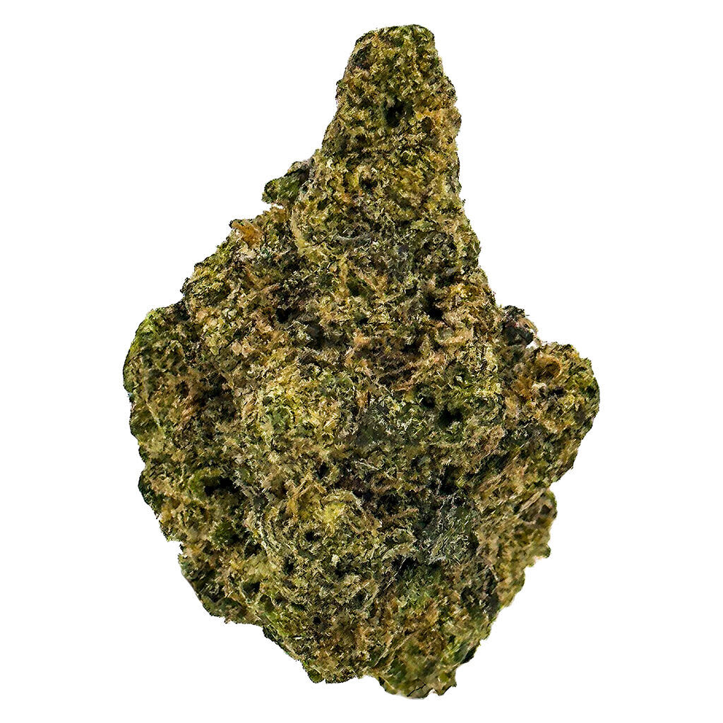SKOSHA Purple Caviar
