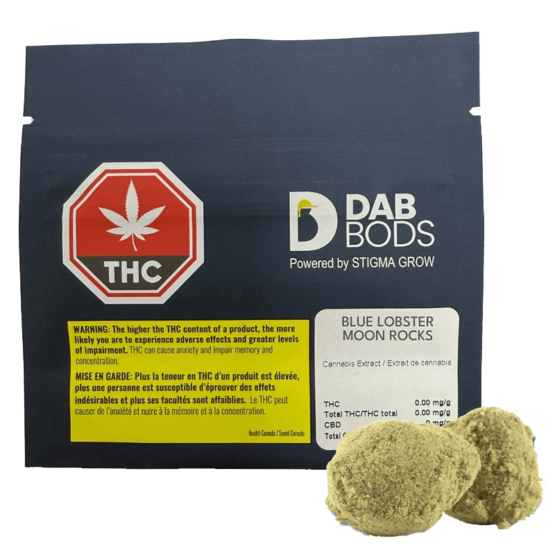 Dab Bods Blue Lobster Moon Rocks