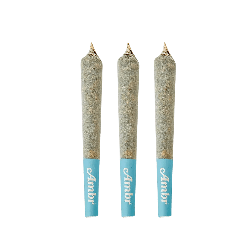 AMBR GLTO Infused Pre-Roll