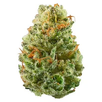 Potluck Strawberry Cough