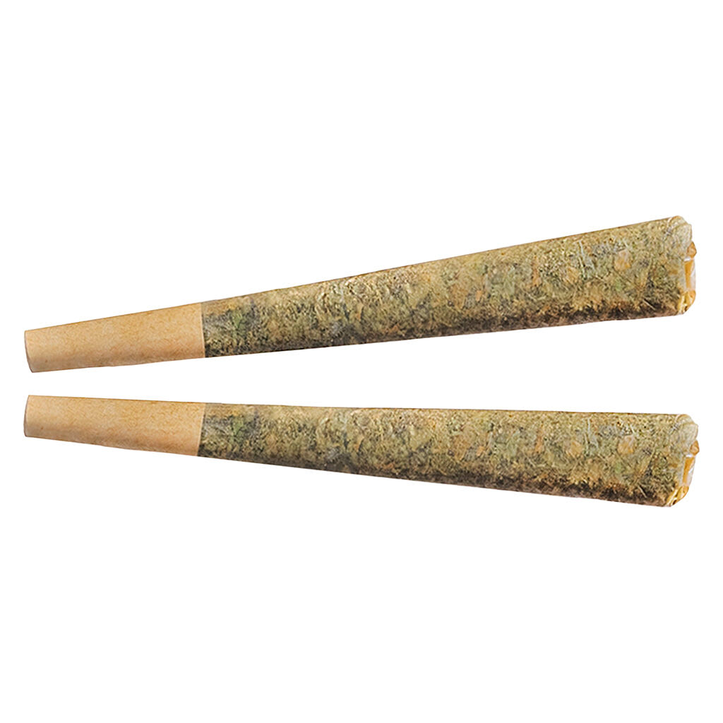 Fuego Night Rider Pre-Roll
