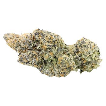Sitka Legends White Hot Guava