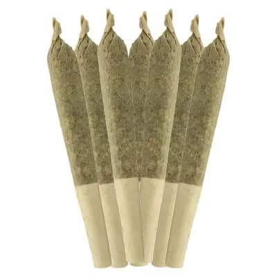 Sheeesh! Jungle Kush Pre-Roll