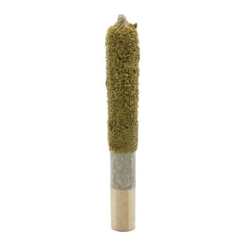 Endgame Galactic Jack Coated Infused Pre-Roll