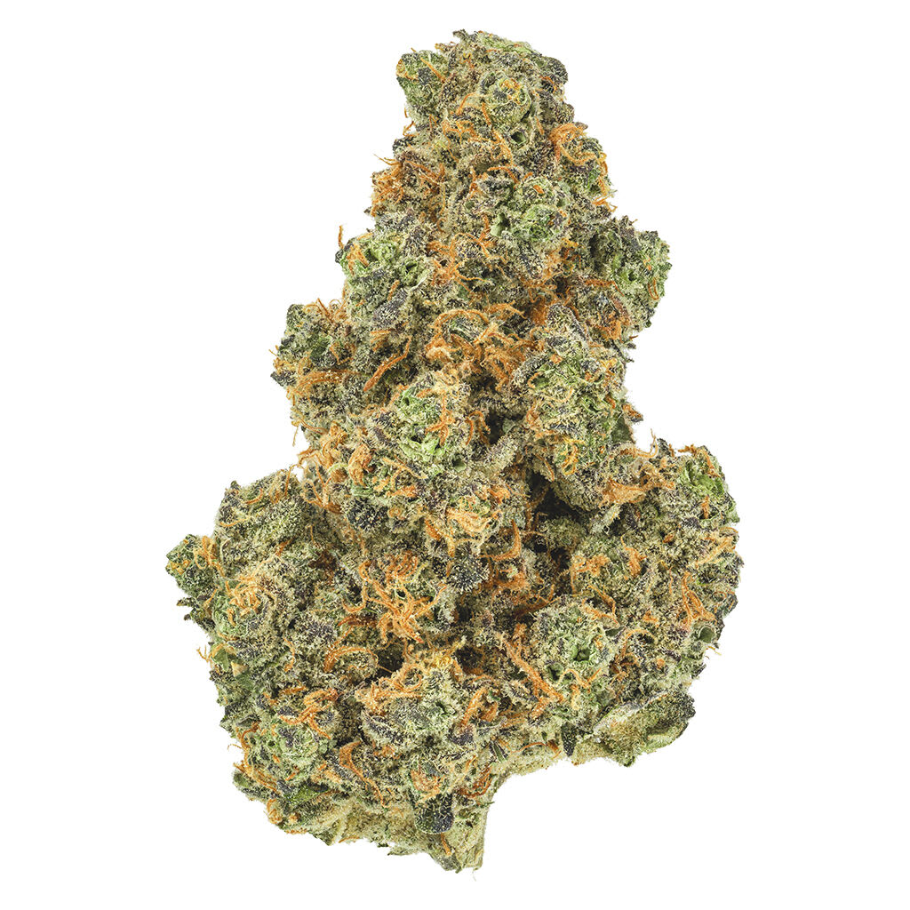 San Rafael '71 Pink Diesel 71