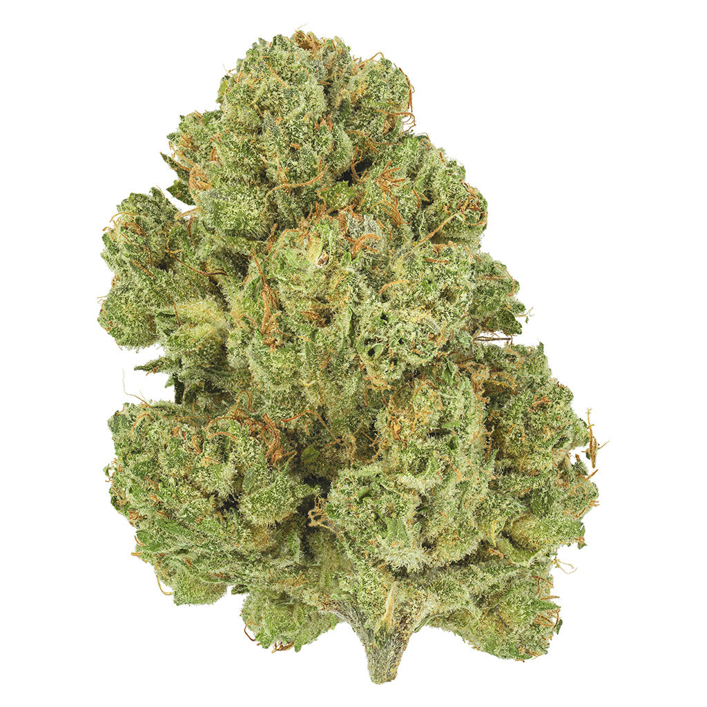 San Rafael 71 Moon Berry