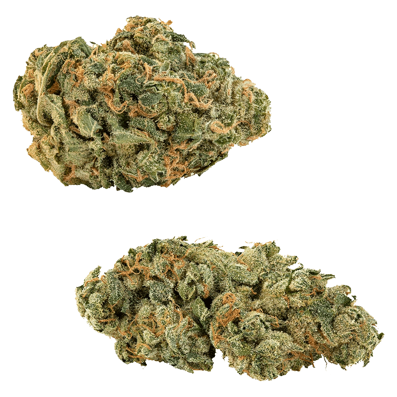 Big Bag O' Buds Ultra Sour + Tropical Cookies