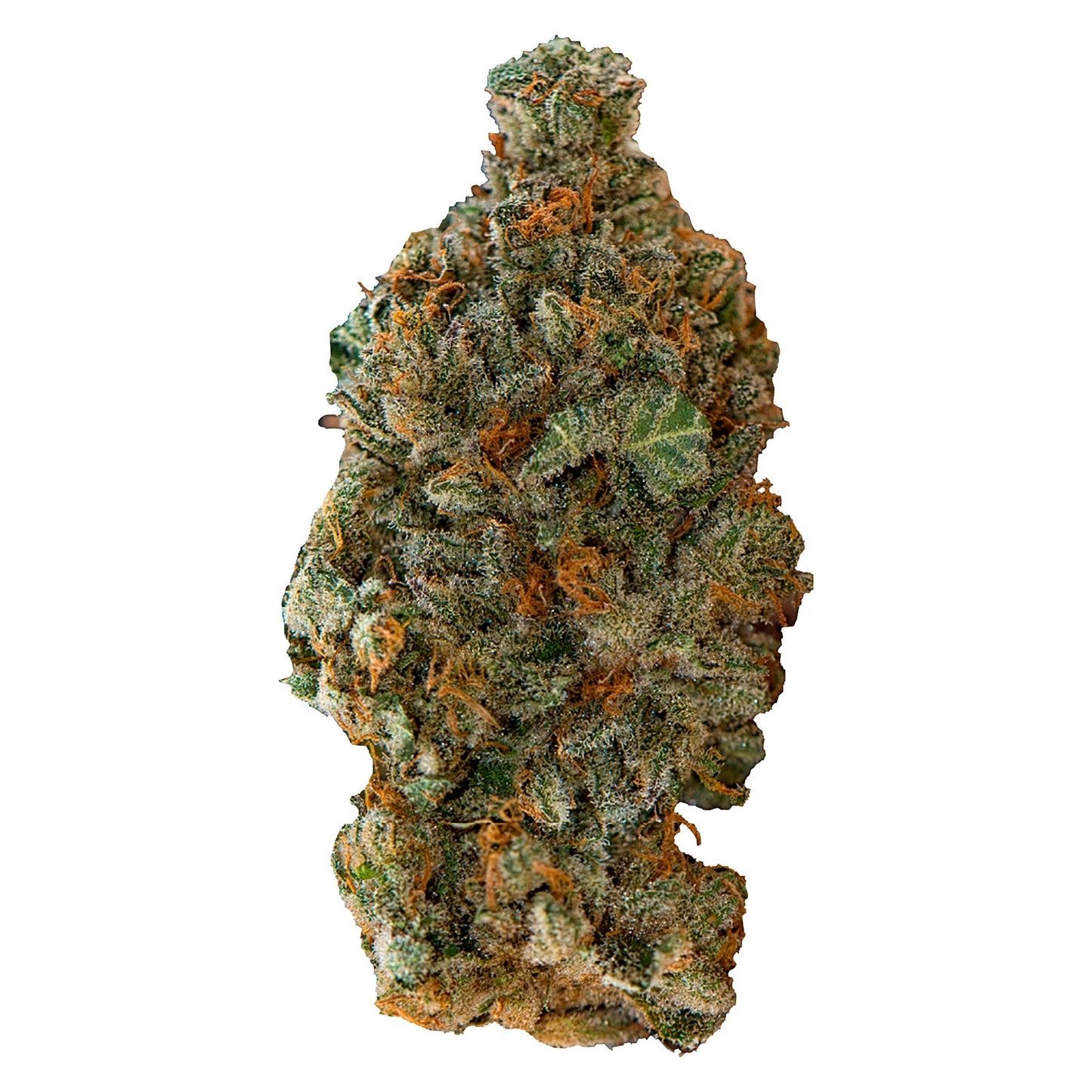 Versus Girl Scout Cookies