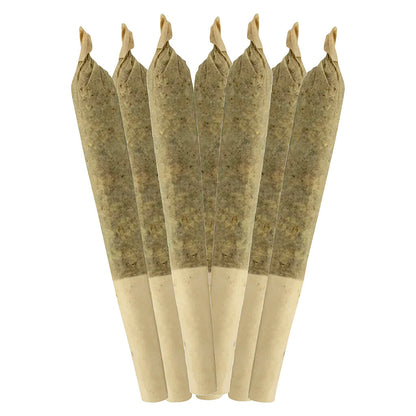 Sheeesh! Dia De Los Muertos Pre-Roll