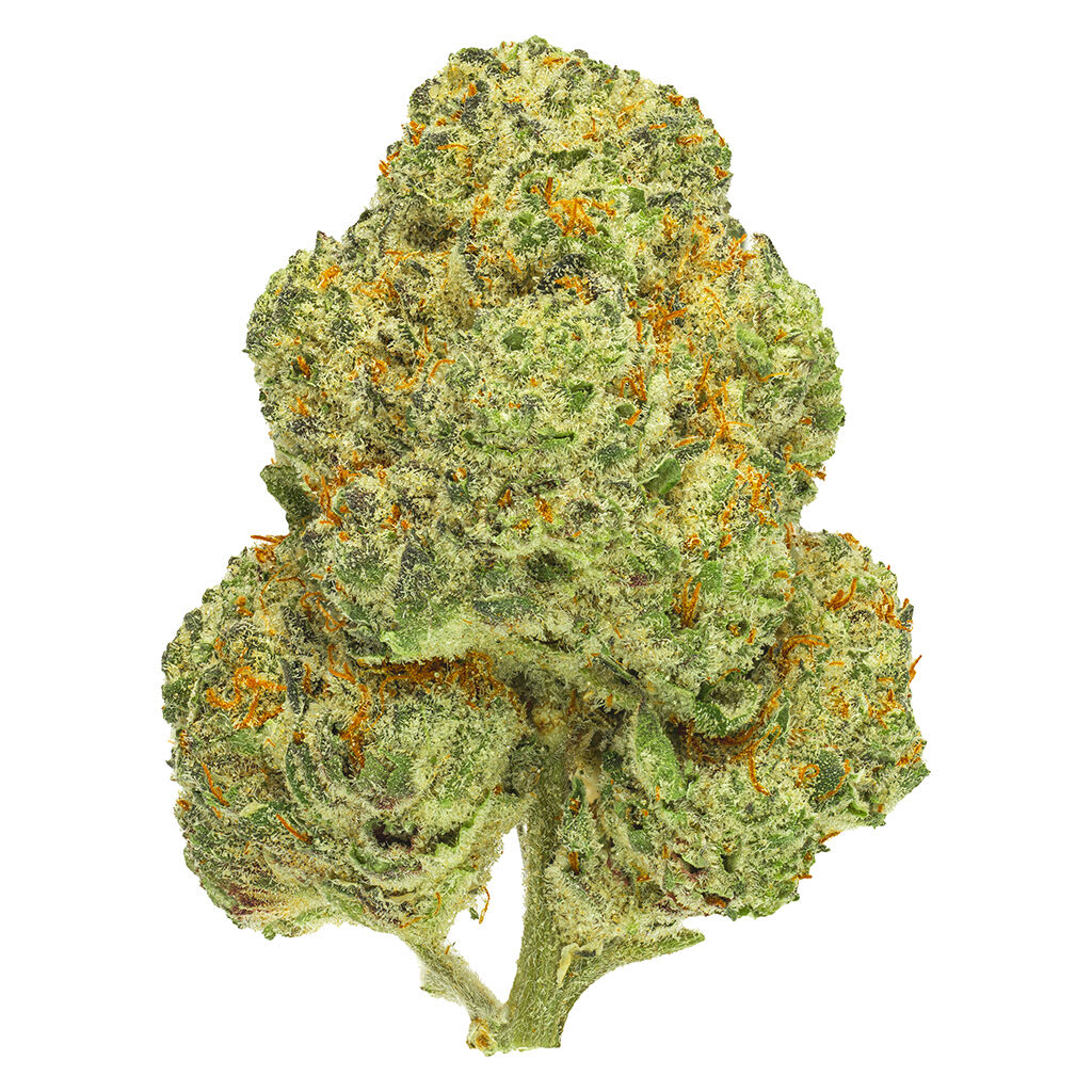 San Rafael '71 Chemango Kush