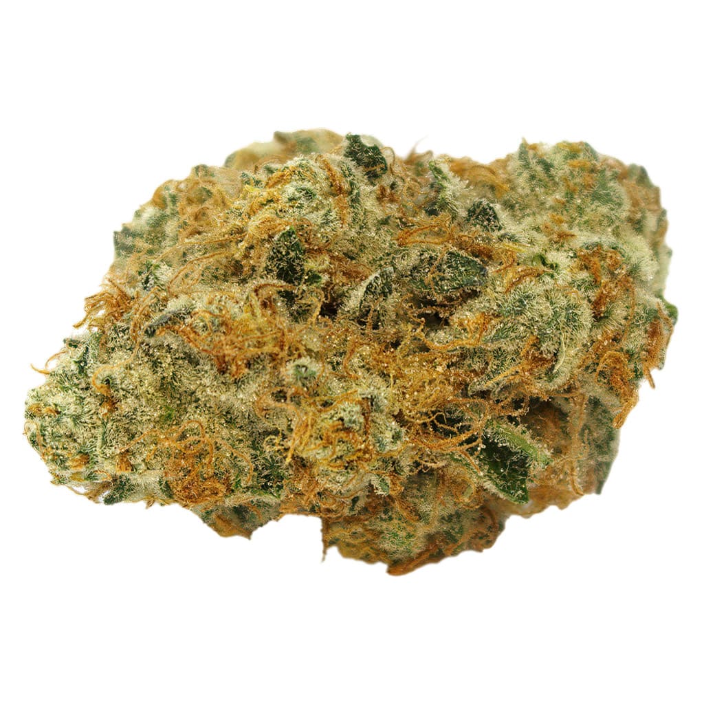 Highland Grow Pie Face