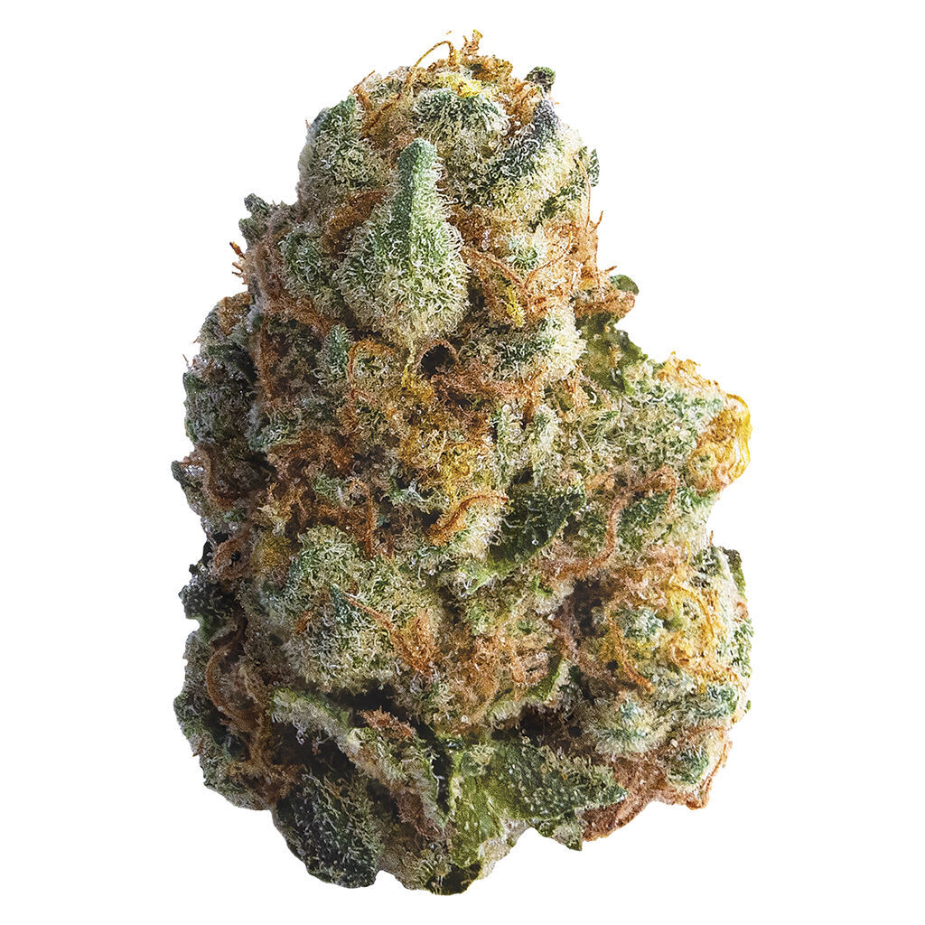 Spinach GMO Cookies